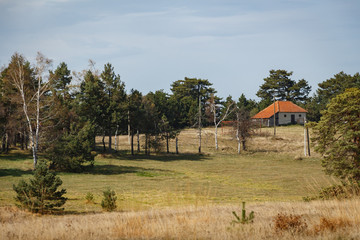 Fototapeta premium Small, old house surrounded by trees and next to the meadow. Mountain nature scenery. Nature background.