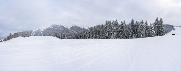 Wide panoramic view of winter landscape with snow covered trees in Seefeld in the Austrian state of Tyrol. Winter in Austria