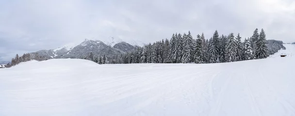 Peel and stick wallpaper Winter Wide panoramic view of winter landscape with snow covered trees in Seefeld in the Austrian state of Tyrol. Winter in Austria