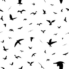 Flying birds silhouettes on white background. Animals seamless detailed pattern. Black on white backgound. Vector illustration