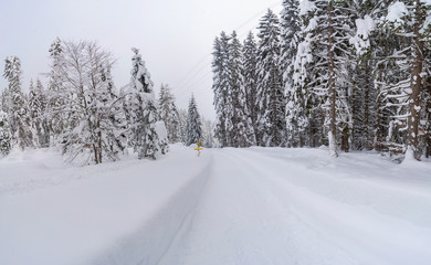 Fototapeta na wymiar Panoramic view of winter landscape with snow covered trees near Seefeld in the Austrian state of Tyrol. Winter in Austria