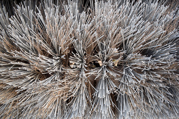 Metal Spikes Sea Urchin Like Abstract Gray Background Field
