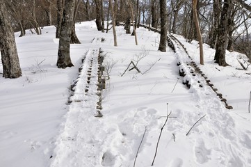 Fototapeta premium 雪に埋もれるつつじ新道の木道