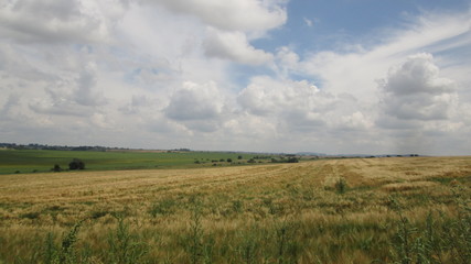 field and blue sky