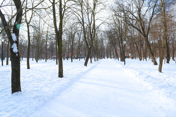 View of the long wide road in the winter Park.