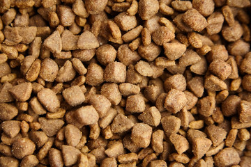 Brown dry food for dogs and cats, Pet meal background closeup
