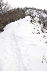 Fototapeta na wymiar 檜洞丸へ登る厳冬の道