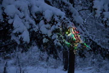 New Year's decorations Christmas tree snowy woods Illumination branches forest night