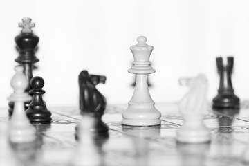 Scacchi fotografati su una scacchiera