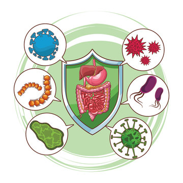 digestive system well working