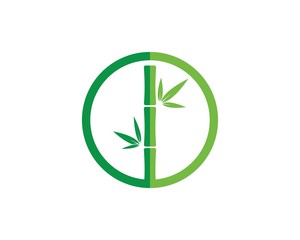 Bamboo with green leaf vector icon