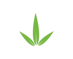 Bamboo with green leaf vector icon