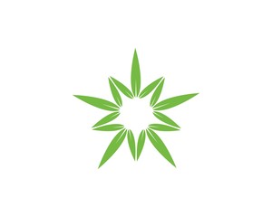 Bamboo with green leaf vector icon