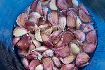 garlic heads in an blue basin / garlic heads in an blue basin, full of water