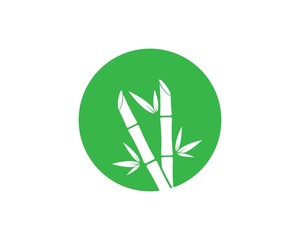 Bamboo with green leaf vector icon