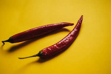 Chili pepper on a yellow background