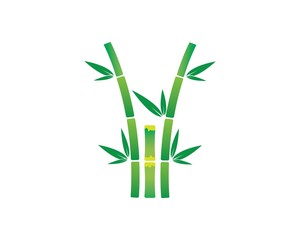 Bamboo with green leaf vector icon