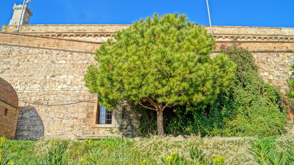 Beautiful walk and good rest at the walls of the Montjuic fortress in Barcelona, ​​Spain