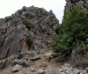 Mountainside 