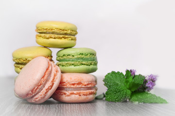 macaron,pâtisserie