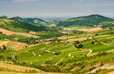 Cultivated hills in Oltrepo' Pavese (Lombardy, Italy)