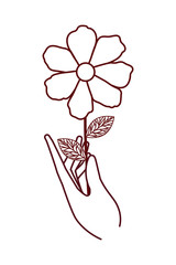 hand with flower with leaves icon isolated