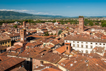Fototapeta premium Aerial view of Lucca, in Tuscany; the tower on the right is called 