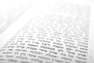 Fototapeta premium Deuteronomy 8:8