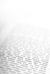 Deuteronomy 8:8