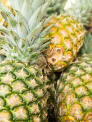 Sarawak's pineapple for sell