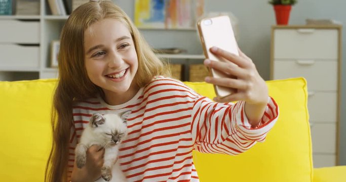Close up of the cute fluffy white cat sitting on the laps of Caucasian gir while she caressing it. Indoors.