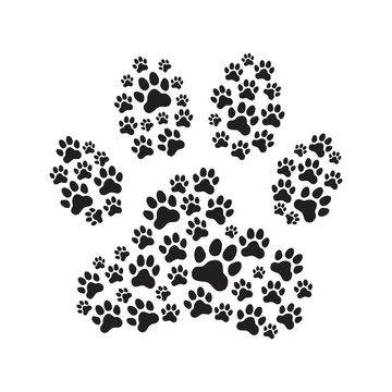 Paw print filled with paw prints.