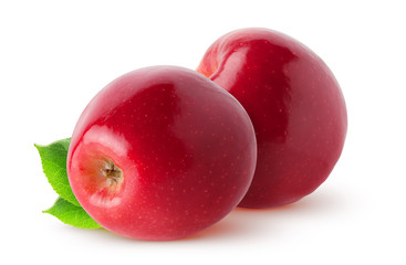 Isolated apples. Two whole red, pink apple fruit with leaves isolated on white, with clipping path