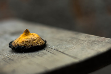 death of lemon