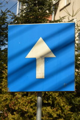 Blue traffic signs - One-way traffic sign Turning left or right is prohibited