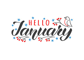 Hello january hand drawn lettering card with doodle snowlakes and bird. Inspirational winter quote. Motivational print for invitation or greeting cards, brochures, poster, t-shirts, mugs. - obrazy, fototapety, plakaty
