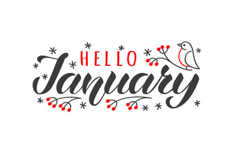 Hello january hand drawn lettering card with doodle snowlakes and bird. Inspirational winter quote. Motivational print for invitation or greeting cards, brochures, poster, t-shirts, mugs.