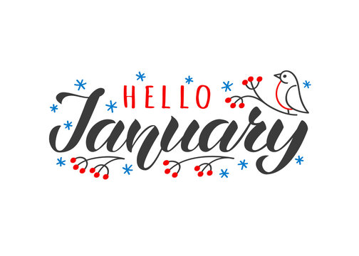 Hello january hand drawn lettering card with doodle snowlakes and bird. Inspirational winter quote. Motivational print for invitation or greeting cards, brochures, poster, t-shirts, mugs.