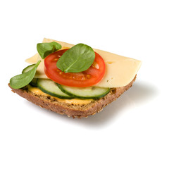Open faced sandwich crostini isolated on white background closeup. Vegetarian canape with cheese. Appetizer tartarine.