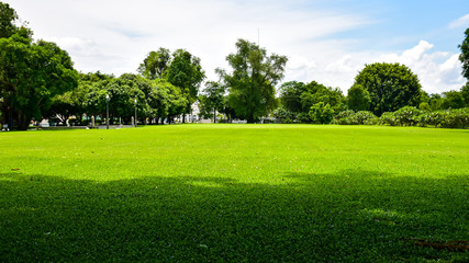 green grass garden background