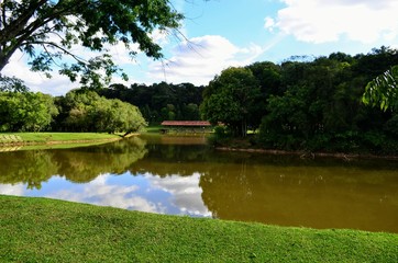 Fototapeta na wymiar Natureza, Park Tingui em Curitiba - Brasil