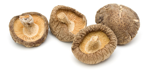 Dried Shiitake Mushroom isolated on white background