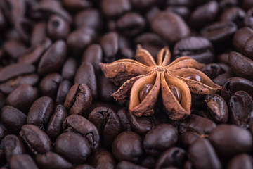 Anise star on roasted coffee beans background. Close up. Perfect spice combination concept.