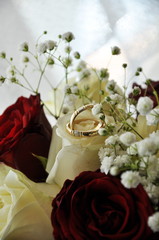 gold wedding rings  on a white  rose