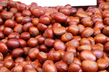 chestnuts seed at street food
