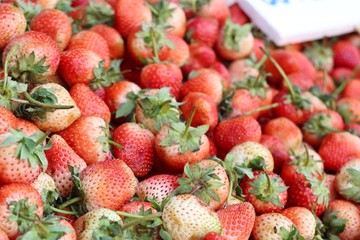 Fresh strawberry at street food