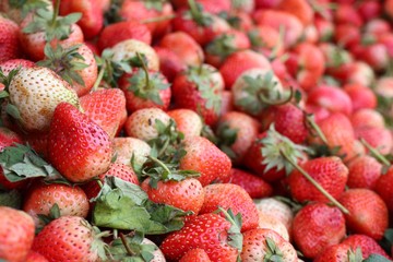 Fresh strawberry at street food