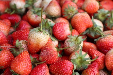 Fresh strawberry at street food