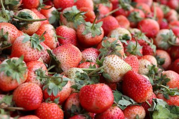Fresh strawberry at street food