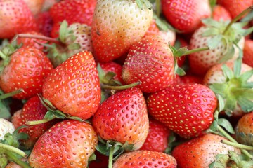 Fresh strawberry at street food